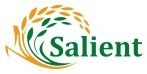 Salient logo